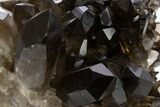 Dark Smoky Quartz Crystal Cluster on Metal Stand - Brazil #330462-2